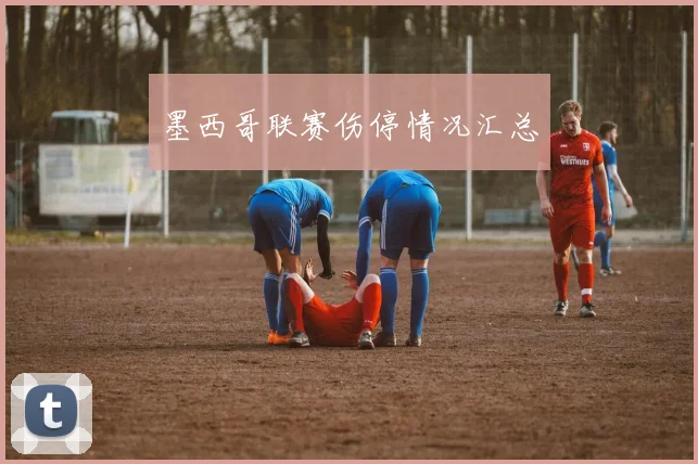 墨西哥联赛伤停情况汇总