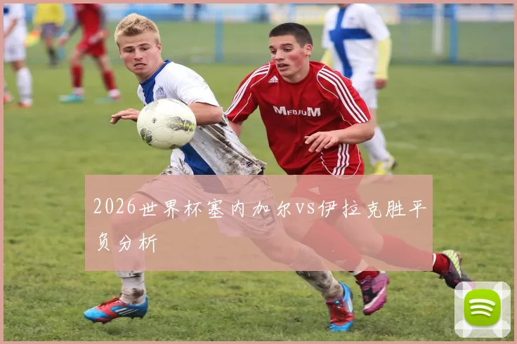 2026世界杯塞内加尔vs伊拉克胜平负分析