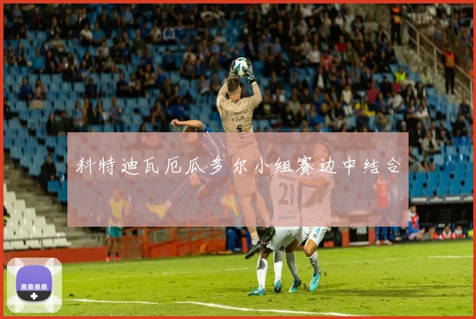 科特迪瓦厄瓜多尔小组赛边中结合