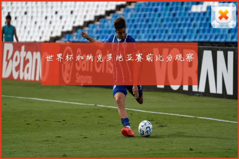 世界杯加纳克罗地亚赛前比分观察