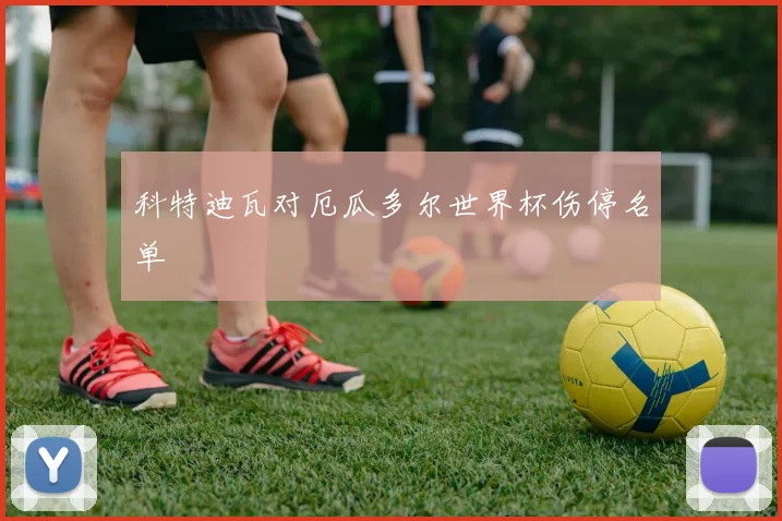 科特迪瓦对厄瓜多尔世界杯伤停名单