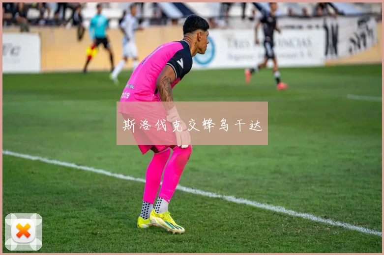 斯洛伐克交锋乌干达