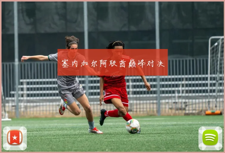 塞内加尔阿联酋巅峰对决