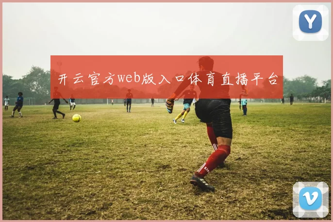 开云官方web版入口体育直播平台
