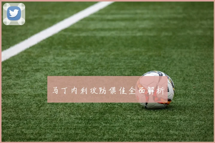 马丁内利攻防俱佳全面解析