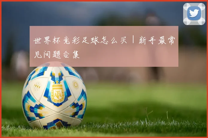 世界杯竞彩足球怎么买|新手最常见问题合集