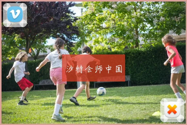 沙特会师中国