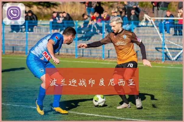 波兰迎战印度尼西亚