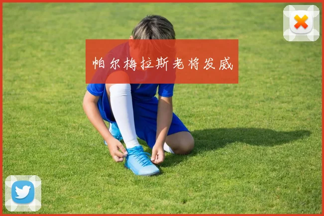 帕尔梅拉斯老将发威