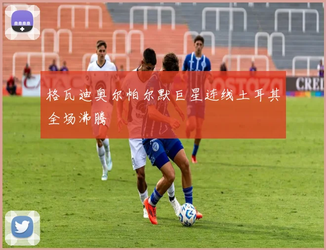格瓦迪奥尔帕尔默巨星连线土耳其全场沸腾