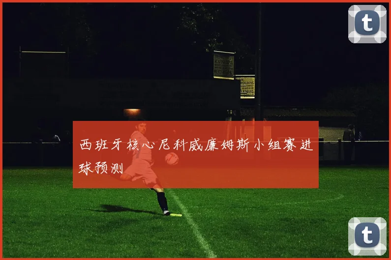 西班牙核心尼科威廉姆斯小组赛进球预测