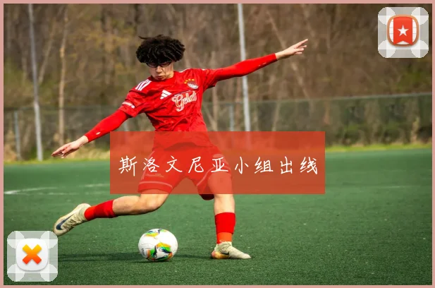 斯洛文尼亚小组出线