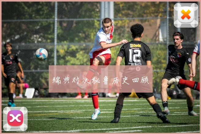 瑞典对决秘鲁历史回顾