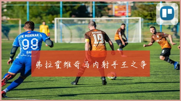 弗拉霍维奇马内射手王之争