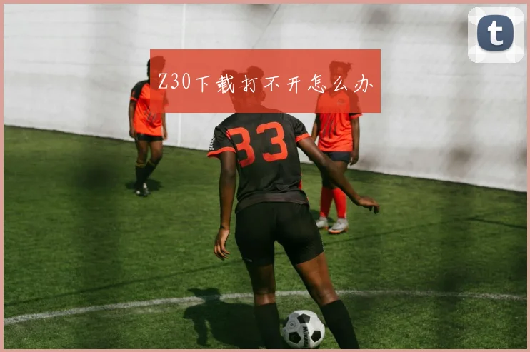 Z30下载打不开怎么办