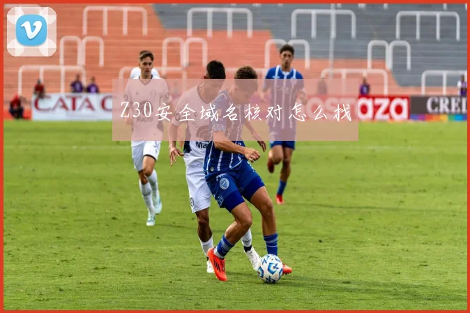 Z30安全域名核对怎么找