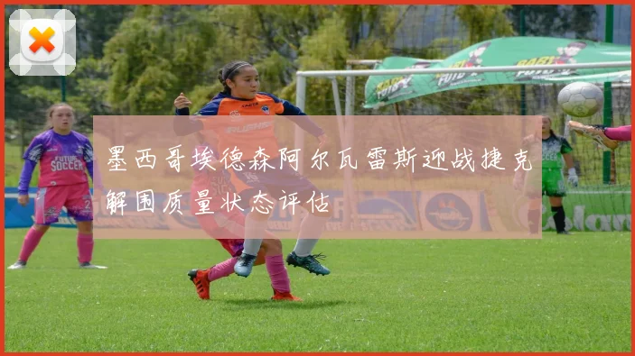 墨西哥埃德森阿尔瓦雷斯迎战捷克解围质量状态评估