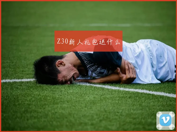 Z30新人礼包送什么