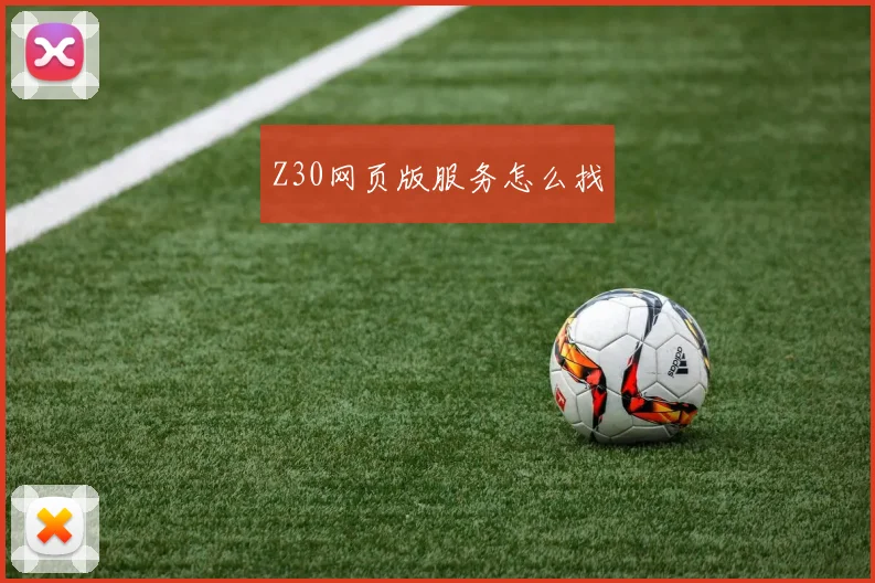 Z30网页版服务怎么找