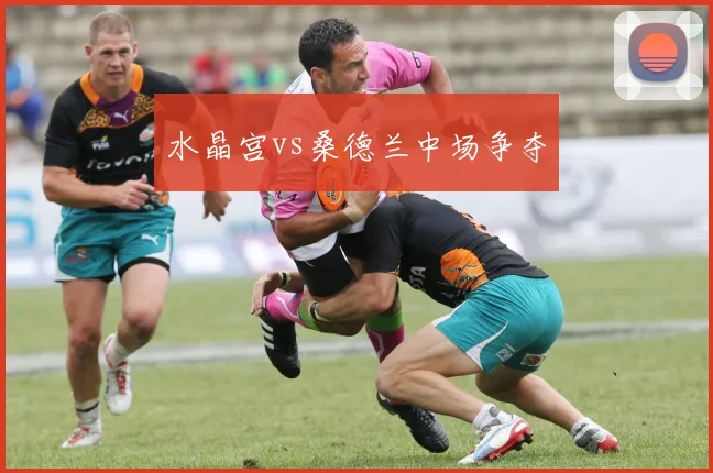 水晶宫vs桑德兰中场争夺