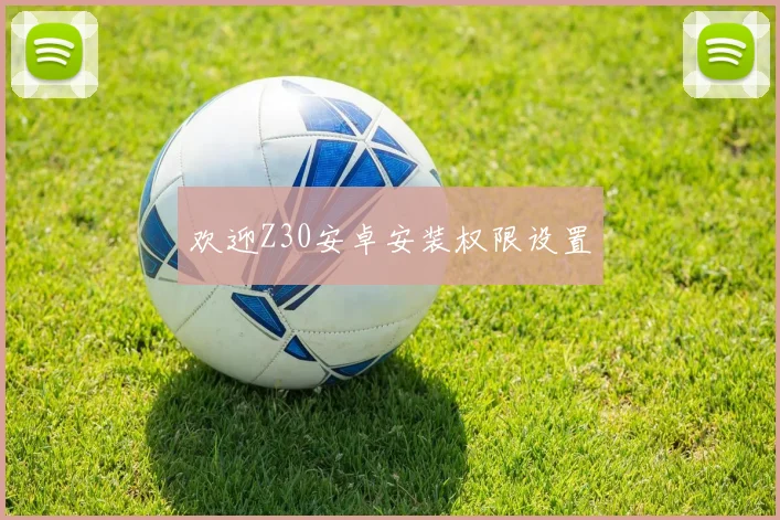 欢迎Z30安卓安装权限设置